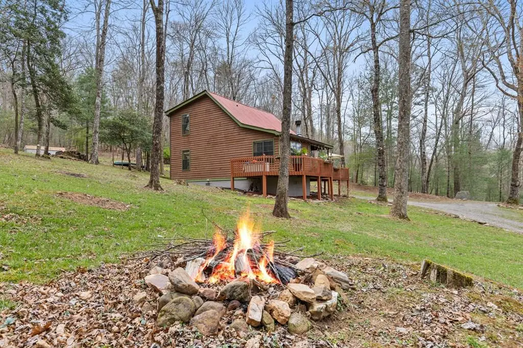 541 Black Ankle Creek Road, Cherry Log, GA 30522 - #1