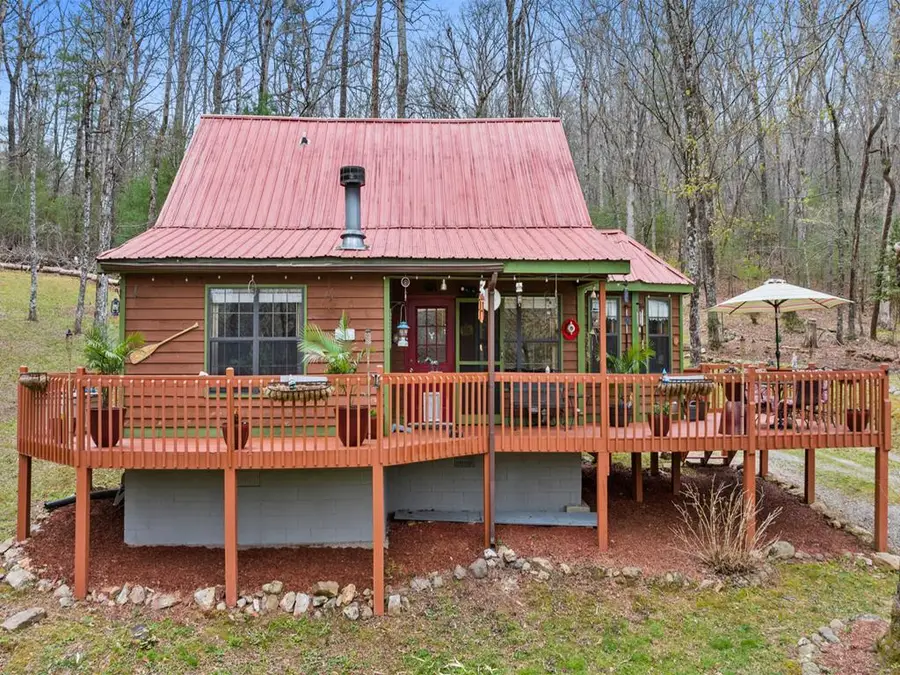 541 Black Ankle Creek Road, Cherry Log, GA 30522 - #3