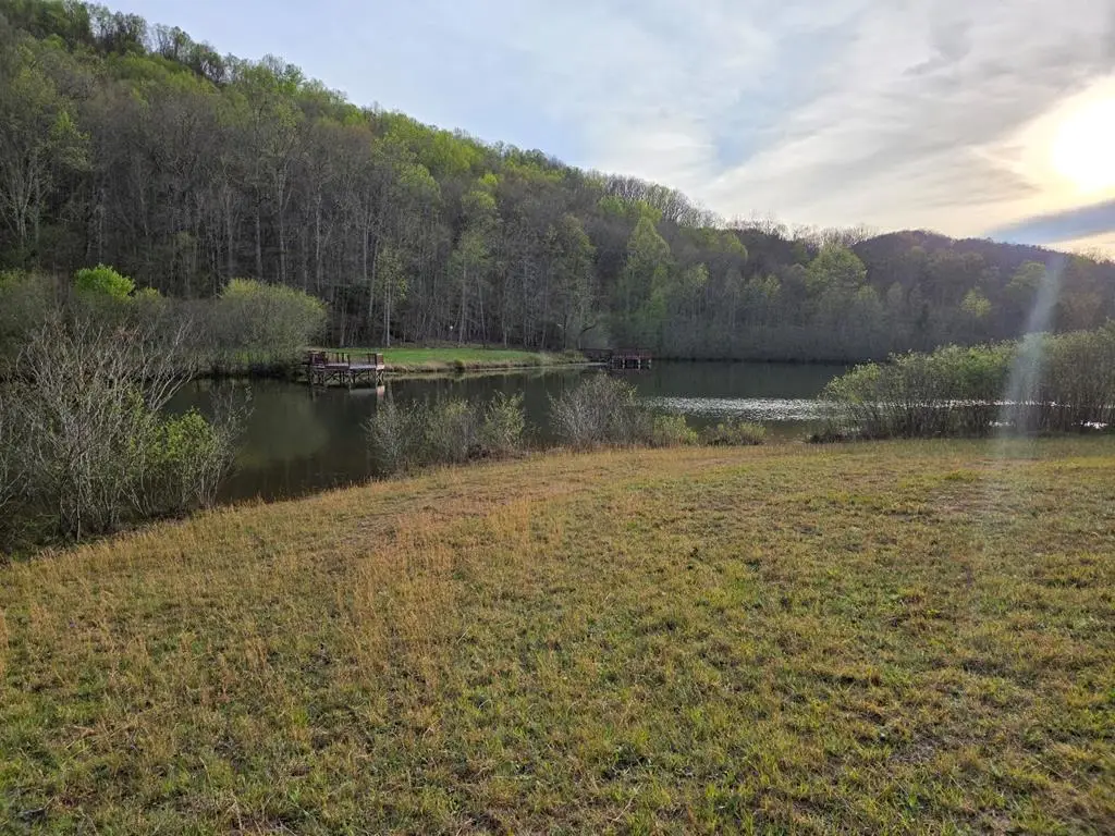 Lot 53 Calvender Road, Turtletown, TN 37326 - #1