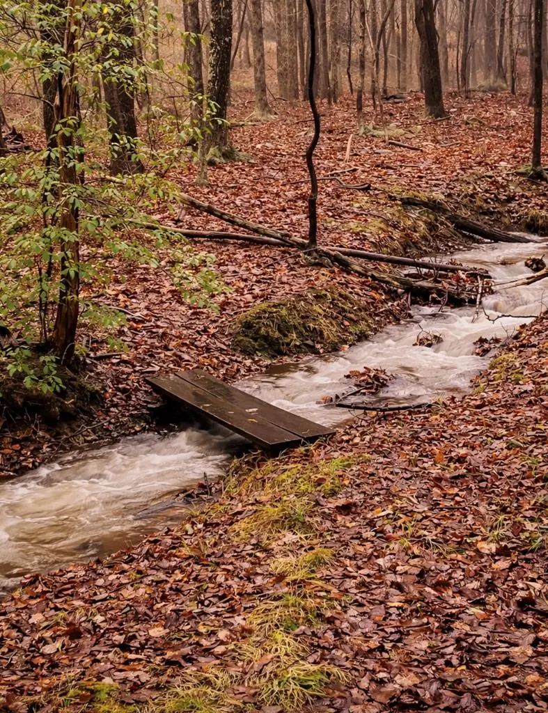 220 Wake Robin Drive, Jasper, GA 30143 - #3