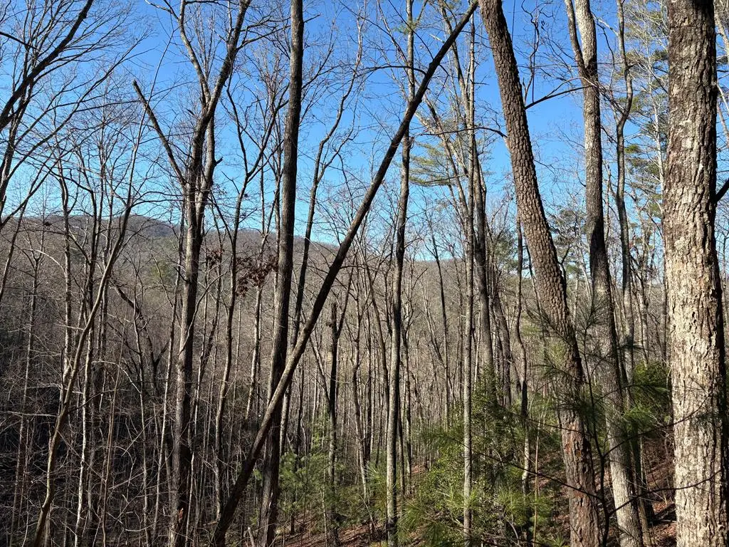 Lot 61 Laurel Trail, Suches, GA 30572 - #1