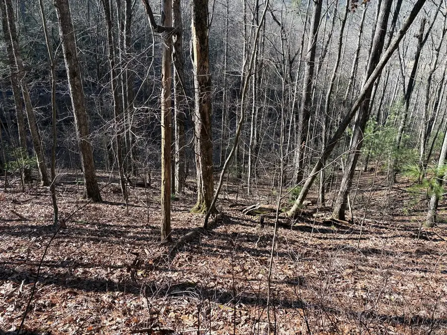 Lot 61 Laurel Trail, Suches, GA 30572 - #3