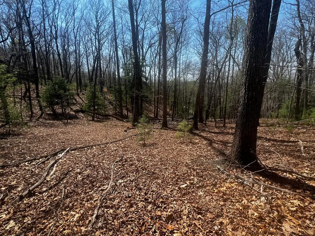 LOT 5 High Country Lane, Morganton, GA 30560 - #1