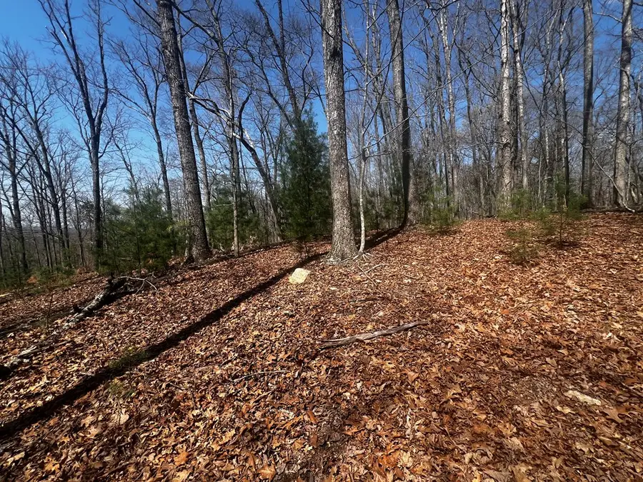 LOT 5 High Country Lane, Morganton, GA 30560 - #2