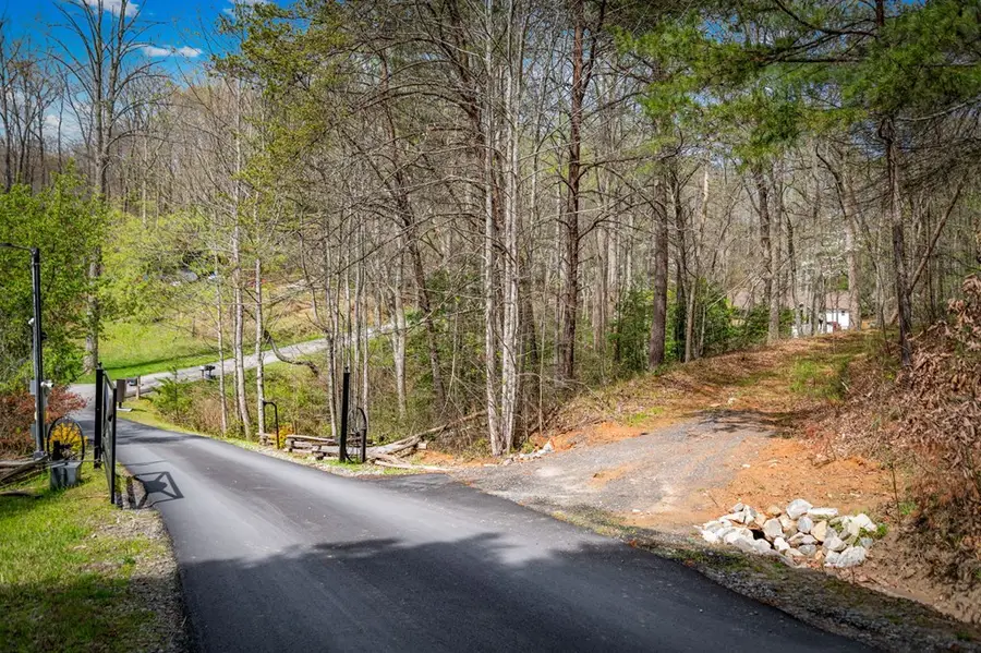 Lot 1 Wolf Creek Estates, Mineral Bluff, GA 30559 - #3