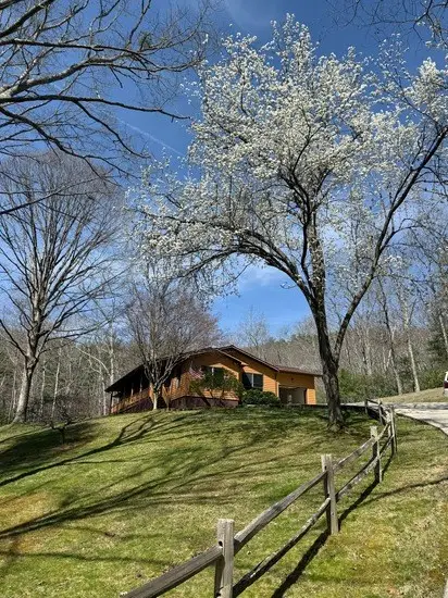 273 Cox Lane, Hayesville, NC 28904 - #2