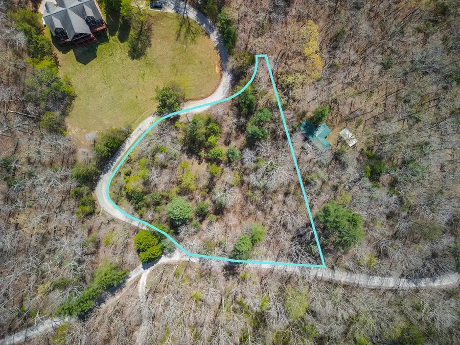 1.02Acre Jennifer Lane, Mineral Bluff, GA 30559 - #2