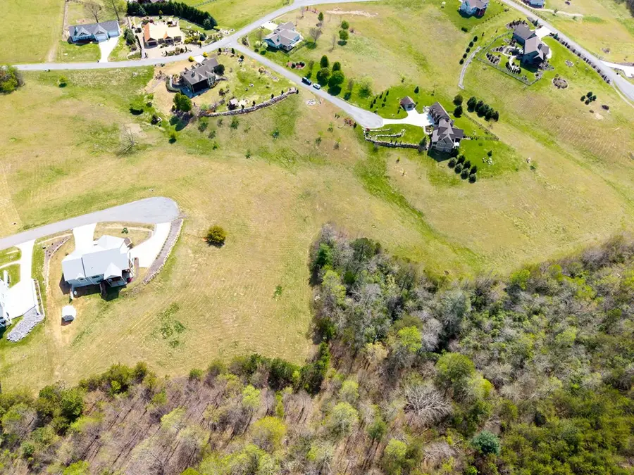 LOT 21 Lyndhurst Lane, Young Harris, GA 30582 - #3