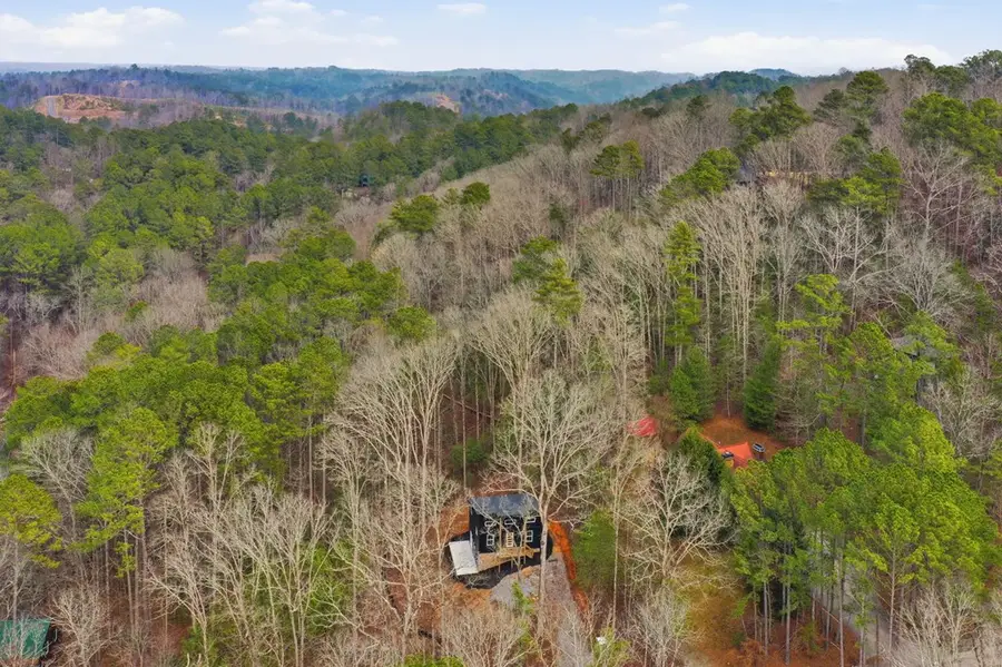 890 Joliet Drive, Ellijay, GA 30540 - #2