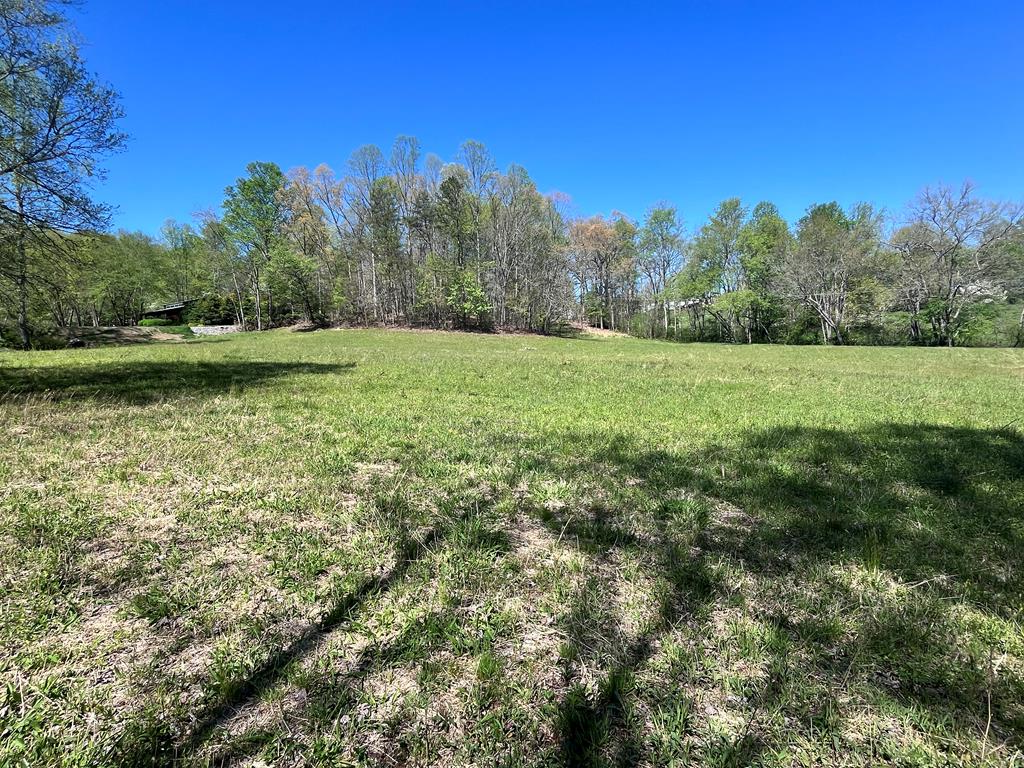 0 Low Gap Road, Hayesville, NC 28904 - #1