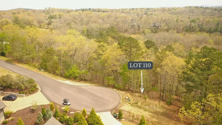 Lot 110 Fawn Way, Mineral Bluff, GA 30559 - #2