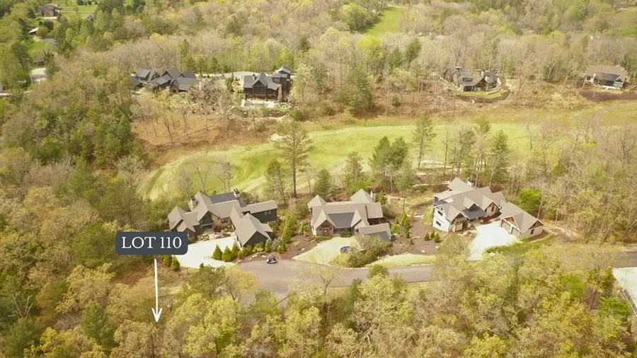 Lot 110 Fawn Way, Mineral Bluff, GA 30559 - #3