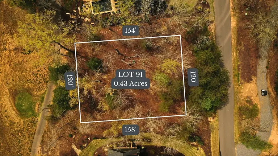 Lot 91 Fallen Leaf Road, Mineral Bluff, GA 30559 - #2