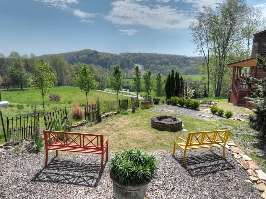 256 Bailey Farm Lane, Mineral Bluff, GA 30559 - #3