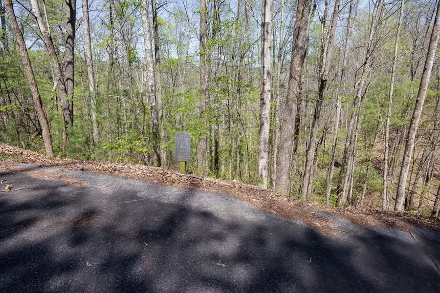 0 Laurel Trail, Suches, GA 30572 - #3