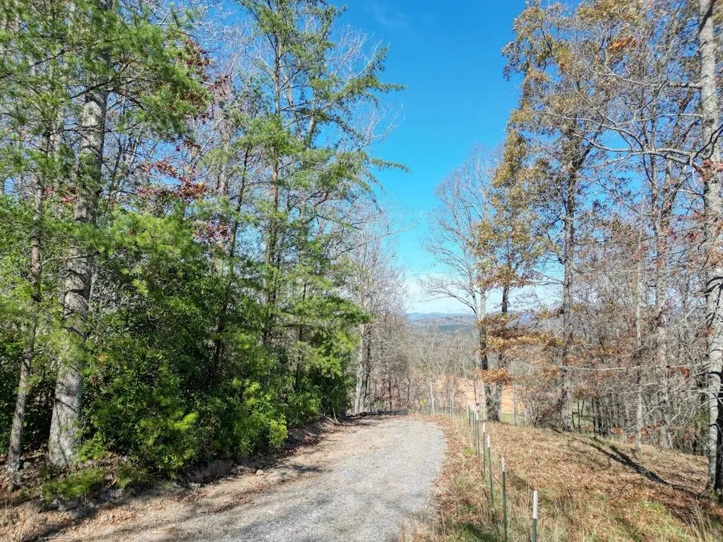 57.59 Winchester Creek, Young Harris, GA 30582 - #1