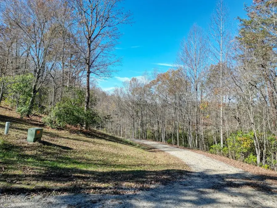 57.59 Winchester Creek, Young Harris, GA 30582 - #2