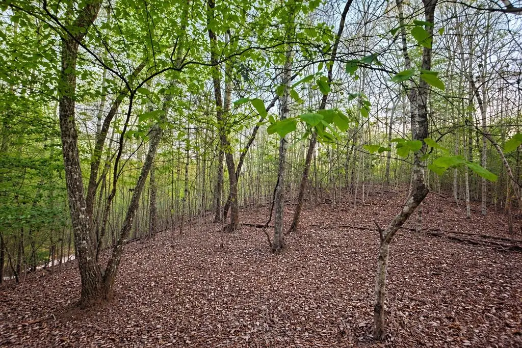 Lot 5 Riverbend Manor, Blue Ridge, GA 30513 - #1