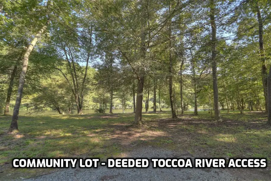 Lot 5 Riverbend Manor, Blue Ridge, GA 30513 - #3