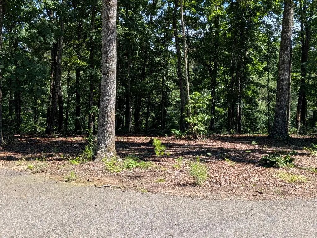 12 Daisy Drive, Brasstown, NC 28902 - #1