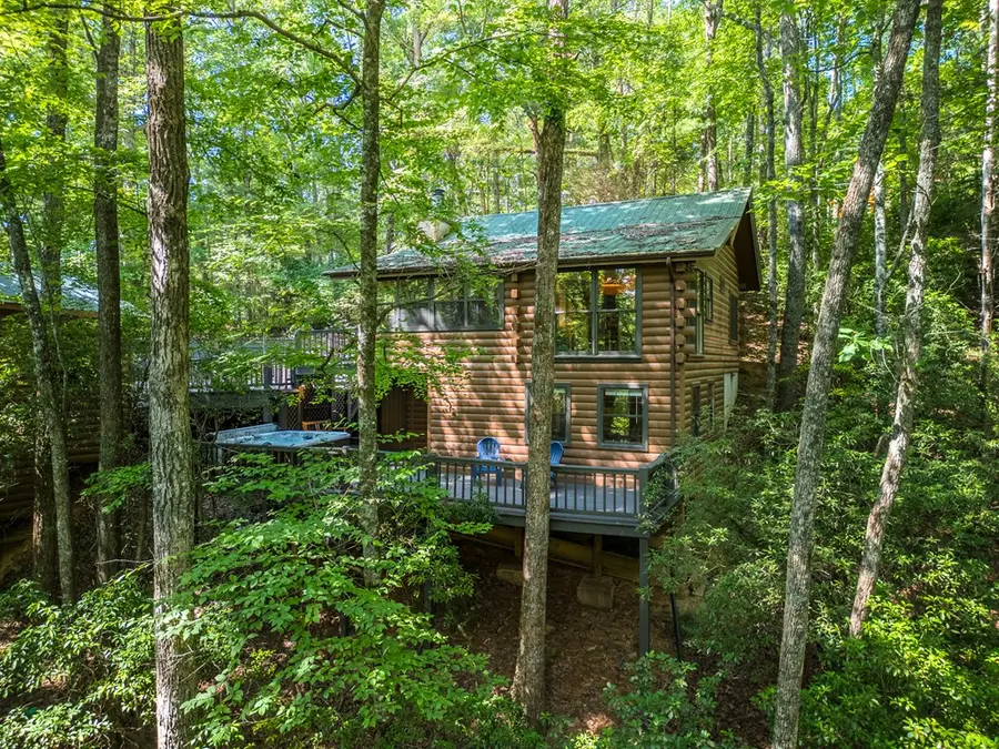 556 Cherry Lake Drive, Cherry Log, GA 30522 - #2