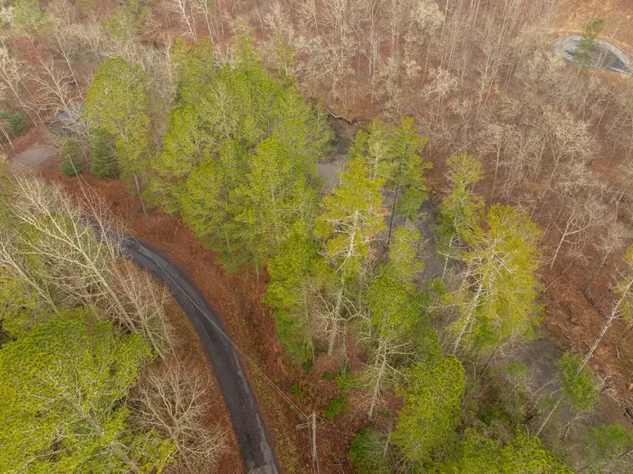 Lot 1742 Meadow Lane, Talking Rock, GA 30175 - #2