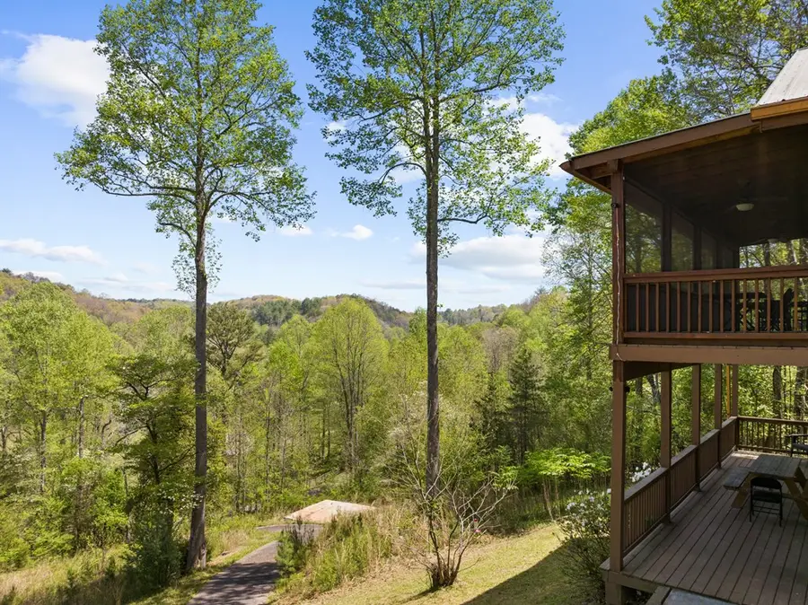 152 Cowboy Way, Mineral Bluff, GA 30559 - #3