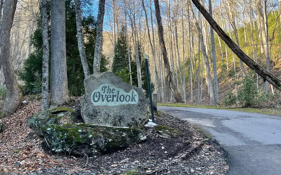 Lot 18 Overlook Loop, Young Harris, GA 30582 - #2