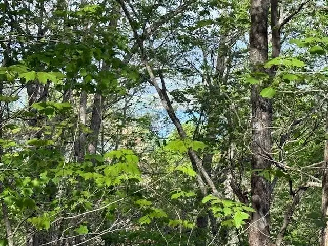 00 Mining Gap Road, Young Harris, GA 30582 - #1