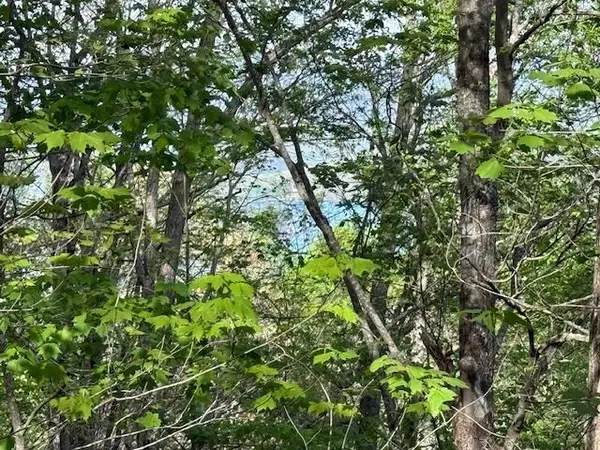 00 Mining Gap Road, Young Harris, GA 30582