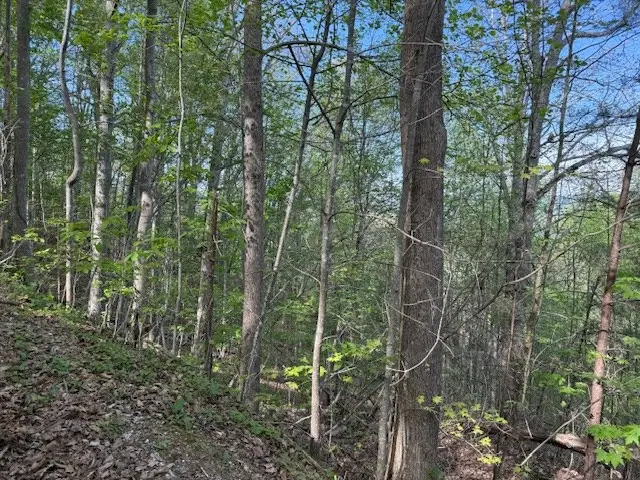 00 Mining Gap Road, Young Harris, GA 30582 - #2