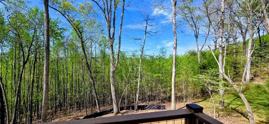 879 Summit Way, Blairsville, GA 30512 - #2