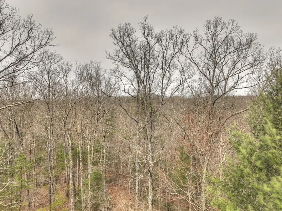 Lt 54-56 Black Gum Ii & Iii, Blue Ridge, GA 30513 - #3