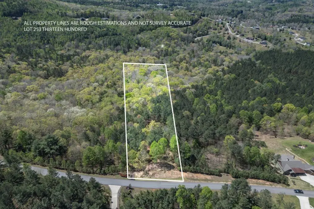 Lot 253 The Cove @ 1300, Blairsville, GA 30512 - #1