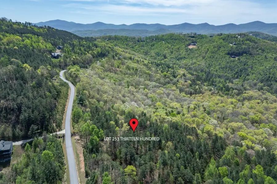 Lot 253 The Cove @ 1300, Blairsville, GA 30512 - #2