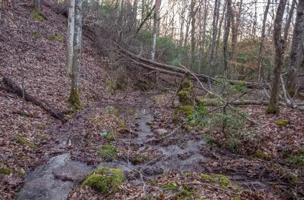 36.78 AC Old Hwy 76, Morganton, GA 30560