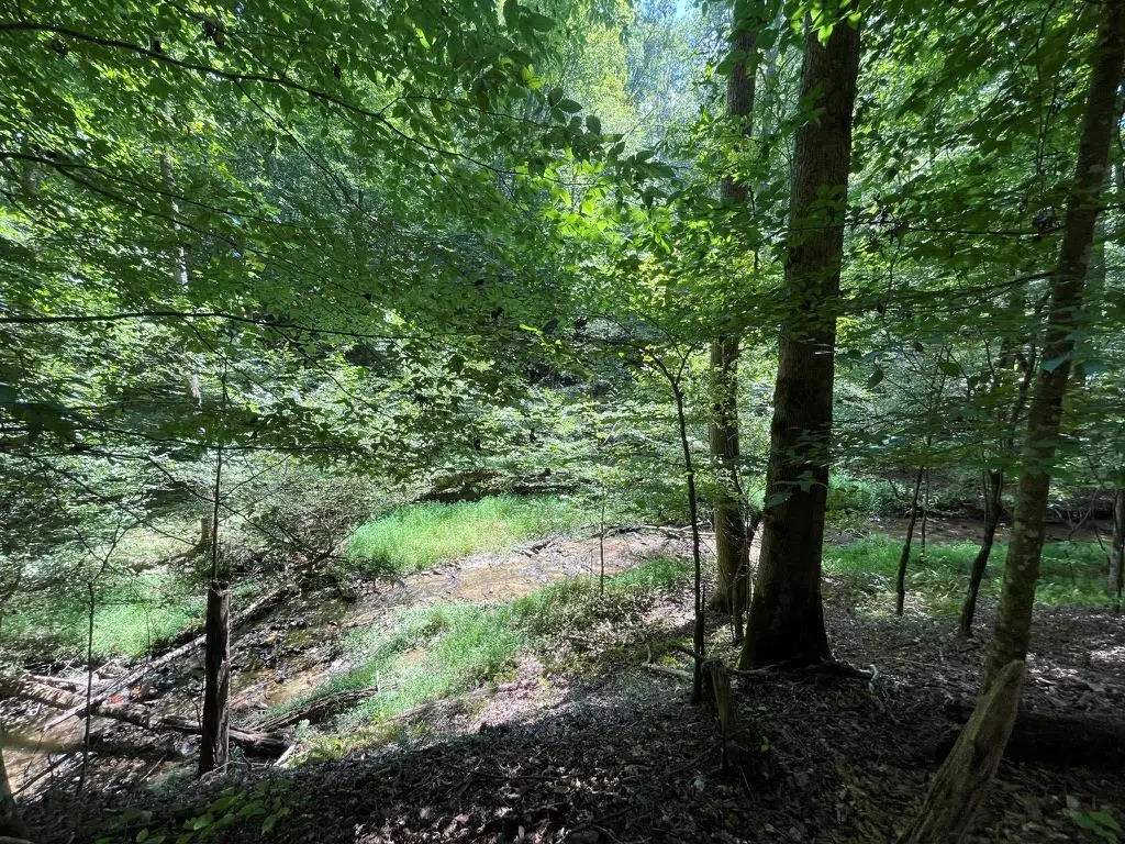 LOT 223 Bowline Drive, Ellijay, GA 30540 - #1