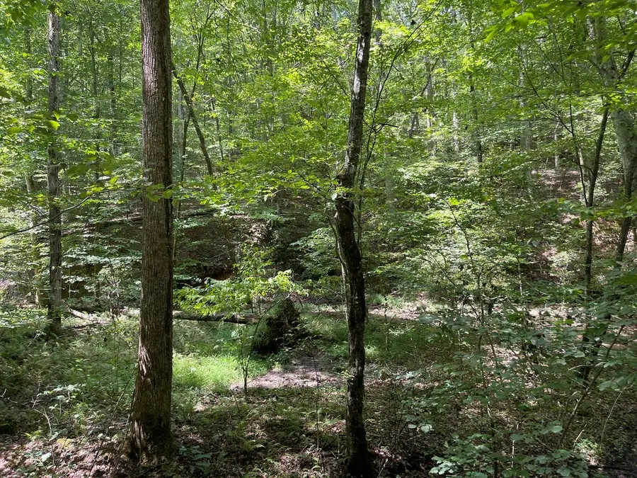 LOT 223 Bowline Drive, Ellijay, GA 30540 - #2