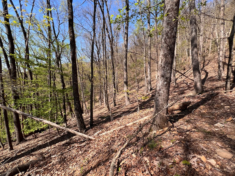 0 Sassafras Court, Jasper, GA 30143 - #3