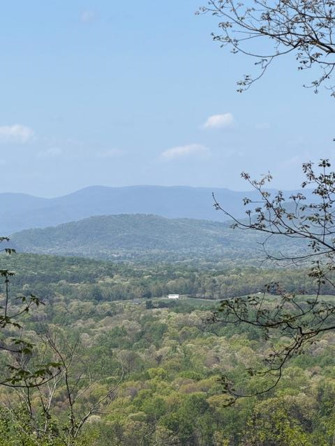 Lot 189 Hawks Nest Court, Ellijay, GA 30536