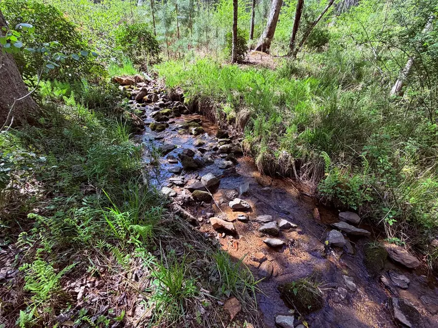 2.7 acre Oakwood Way, Blairsville, GA 30512 - #2