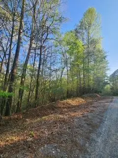 Lt3646-R Fern Drive, Ellijay, GA 30540