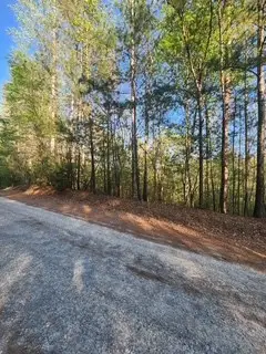Lt3646-R Fern Drive, Ellijay, GA 30540 - #3