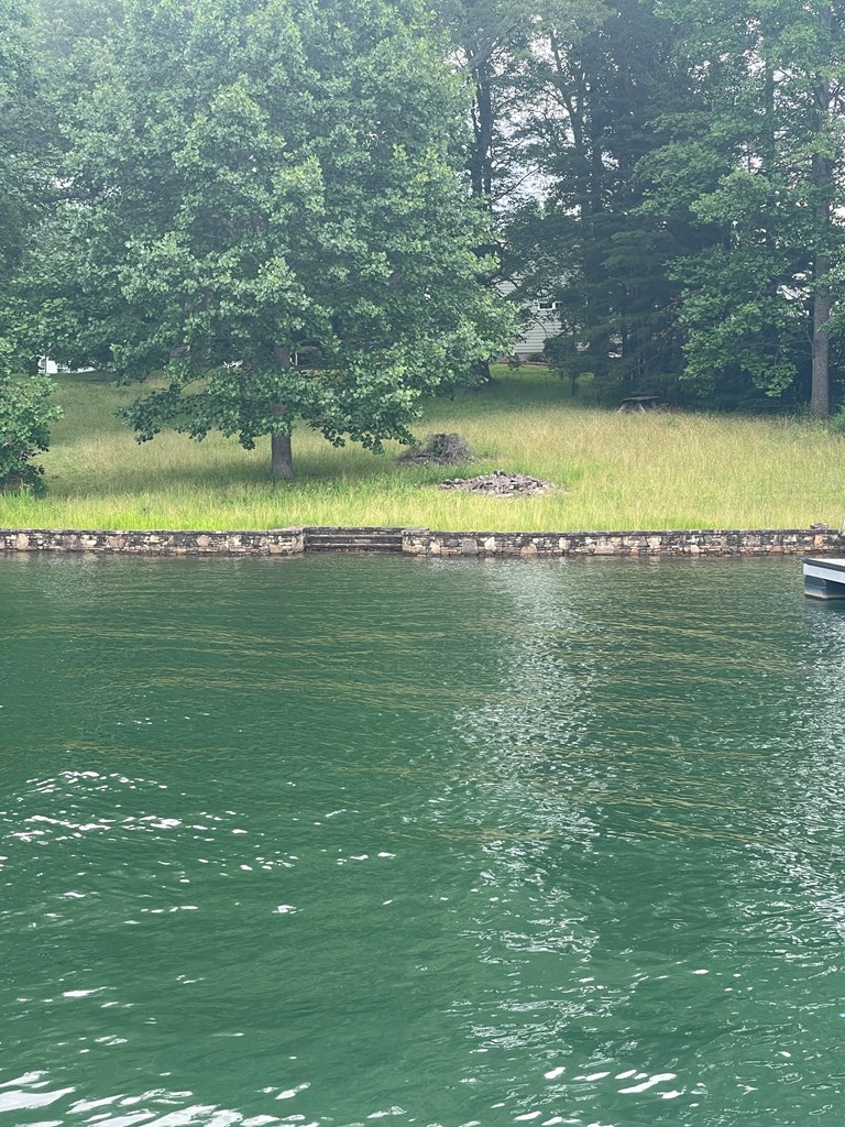 Lot 11 Safe Harbor Road, Hiawassee, GA 30546 - #2