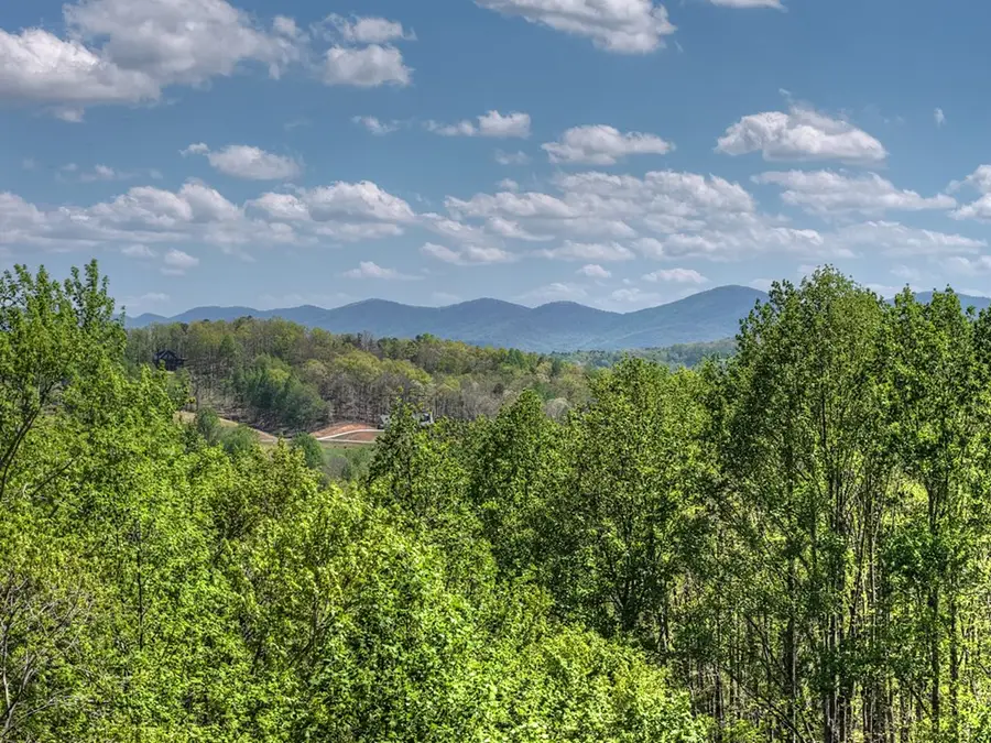315 Blue Berry Ridge, Morganton, GA 30560 - #2