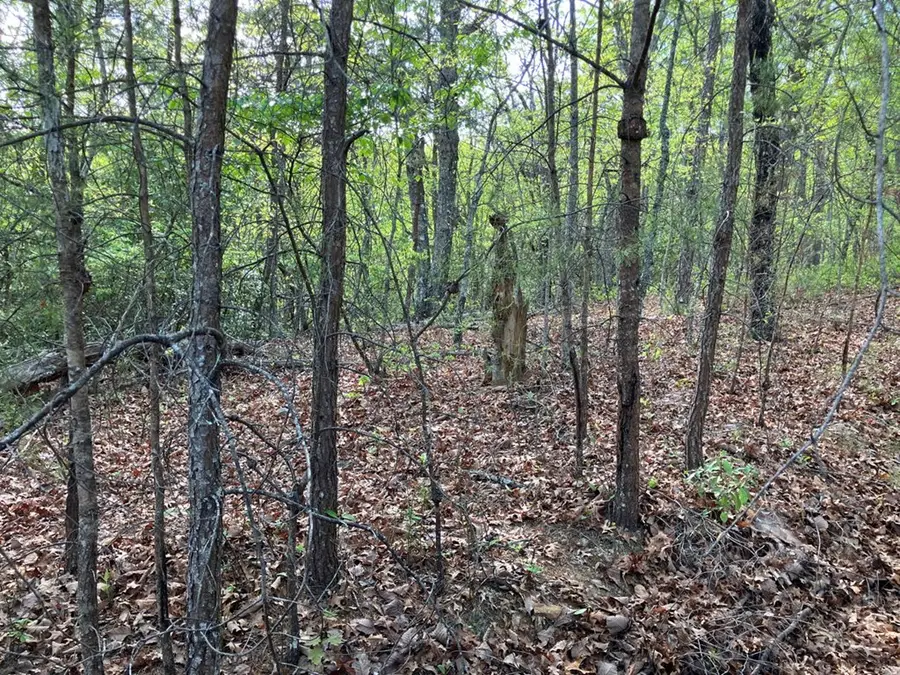 LT24 Mission Ridge Court, Hayesville, NC 28904 - #3