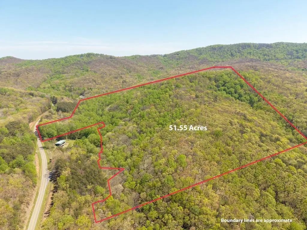 000 Burnt Mountain Road, Ellijay, GA 30536 - #1