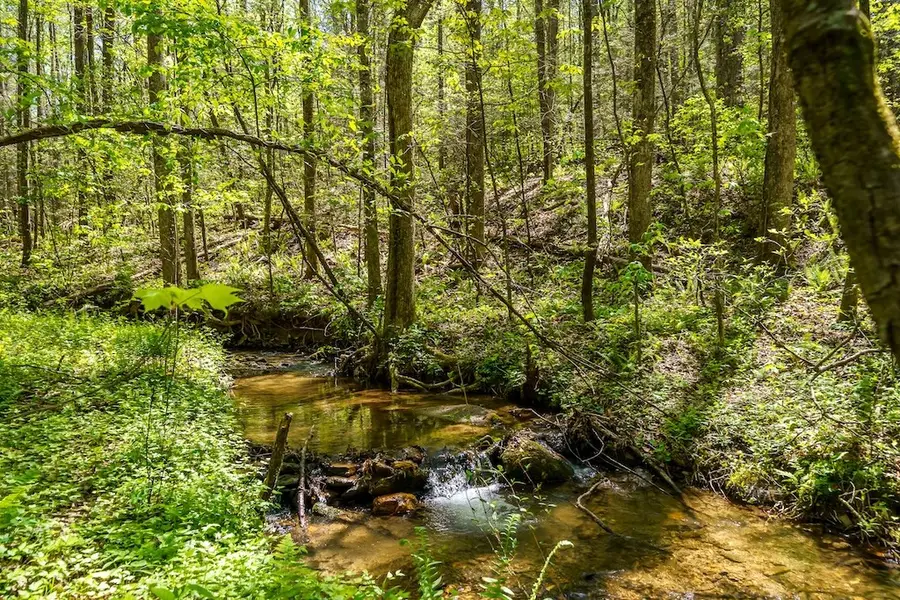 000 Burnt Mountain Road, Ellijay, GA 30536 - #2