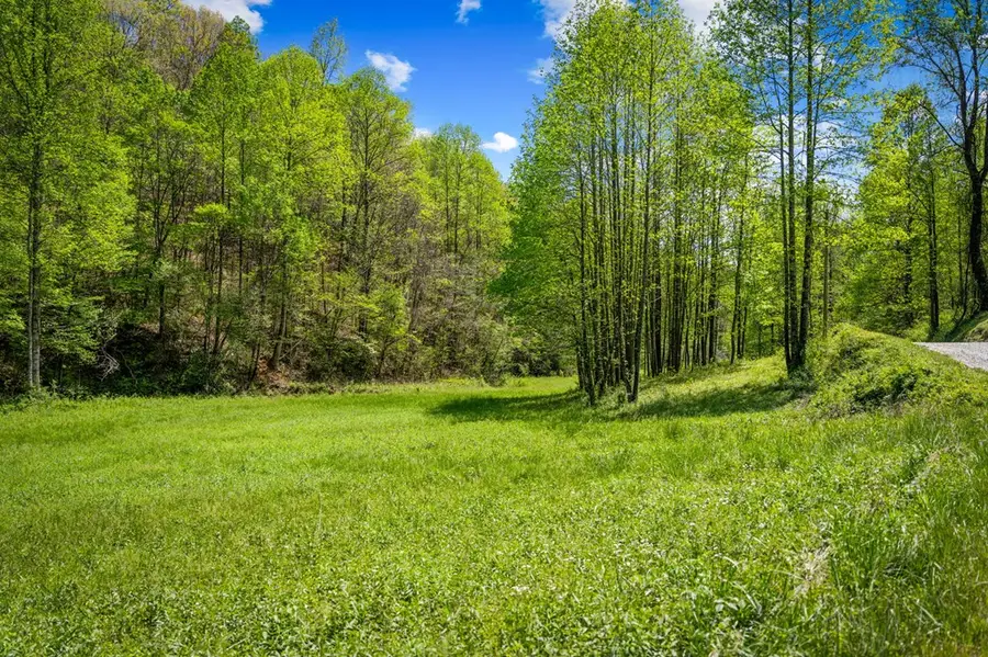 891 Bushy Head Road, Cherry Log, GA 30522 - #3