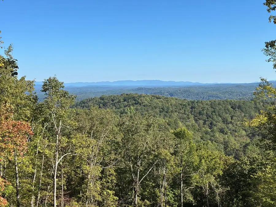 1176 NE Jewel Court, Ranger, GA 30734 - #2